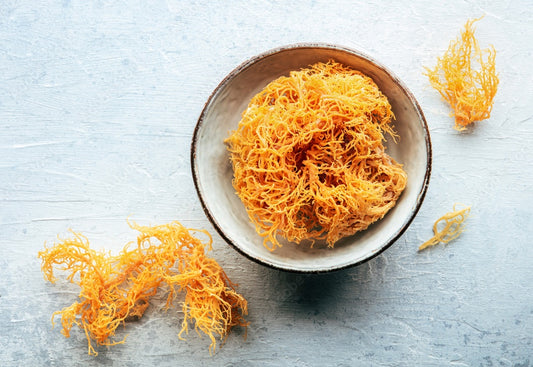 The Health Benefits of Jamaican Gold Sea Moss